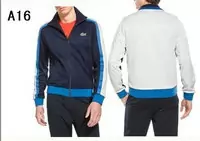 jogging lacoste sport wear survetement man 2013 chaud a16 saphir blanc